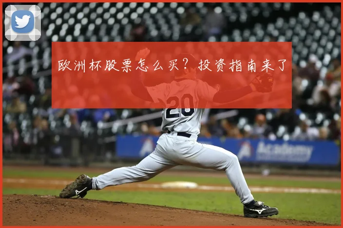 欧洲杯股票怎么买?投资指南来了