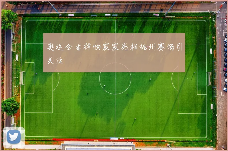奥运会吉祥物宸宸亮相杭州赛场引关注