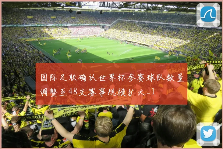 国际足联确认世界杯参赛球队数量调整至48支赛事规模扩大_1